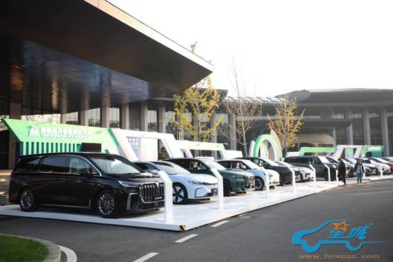 微信图片_20231114145824