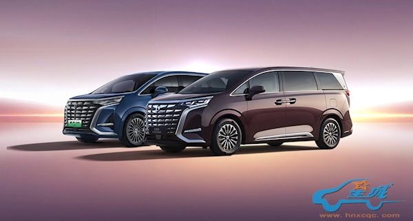 中国年度MPV销冠！2024款腾势D9上市：33.98万起